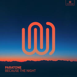 Because the Night