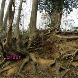 Embun