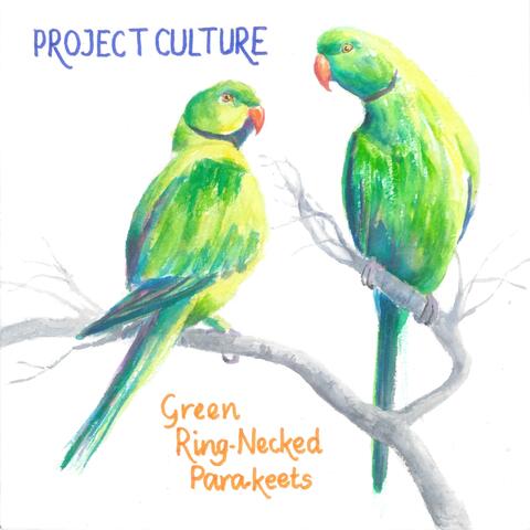 Green Ring-Necked  Parakeets