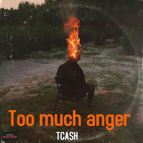 Too Much Anger