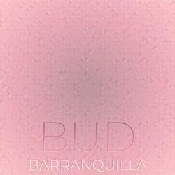 Bud Barranquilla