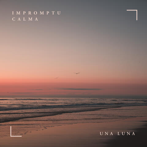 Impromtu Calma