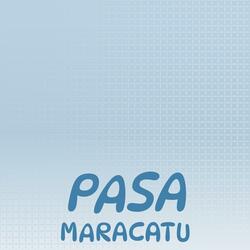 Rapping Princesslike