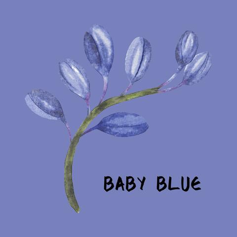 Baby Blue