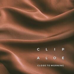 Close To Morning