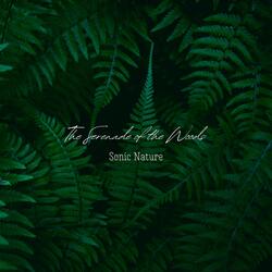 The Serenade of the Woods