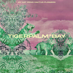 My Cat Picks Cactus Flowers