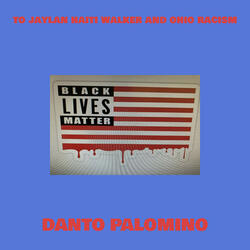 to jaylan haiti walker and ohio racism
