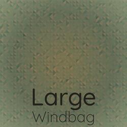 Large Windbag