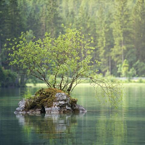 Deep Sleep (Loop-Able)