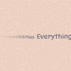 Responsibilities Everything