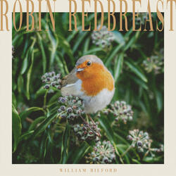 Robin Redbreast