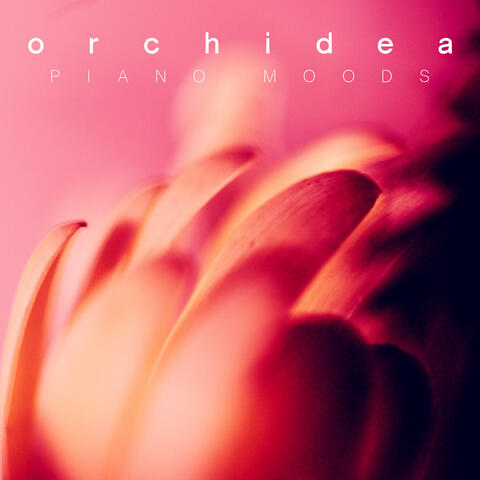 Orchidea - Piano Moods