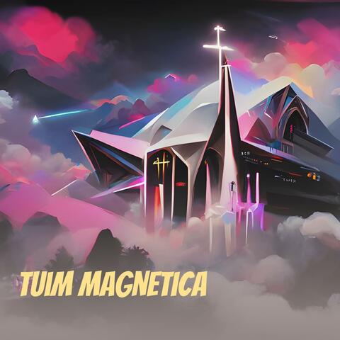 Tuim Magnetica