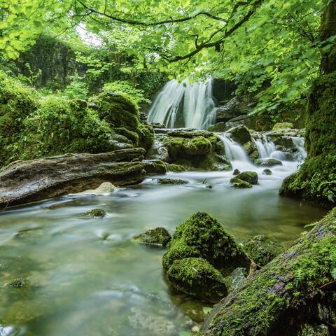 Soothing & Inner Peace
