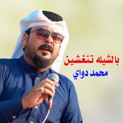 بالشيله تـتـغـشـيـن