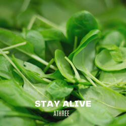 Stay Alive