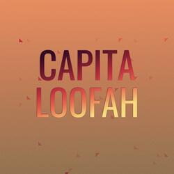 Capita Loofah