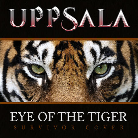EYE OF THE TIGER