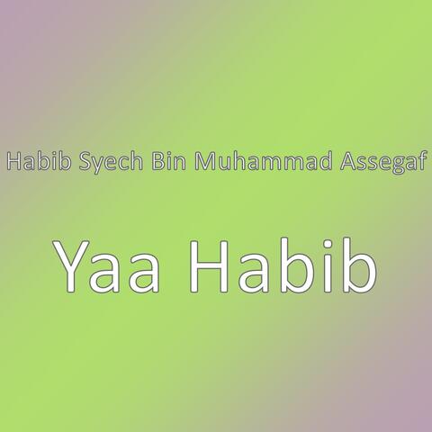 Yaa Habib