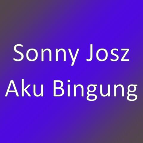 Aku Bingung
