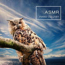 Forest Sound White Noise Piano Lullaby (Feeling ASMR)