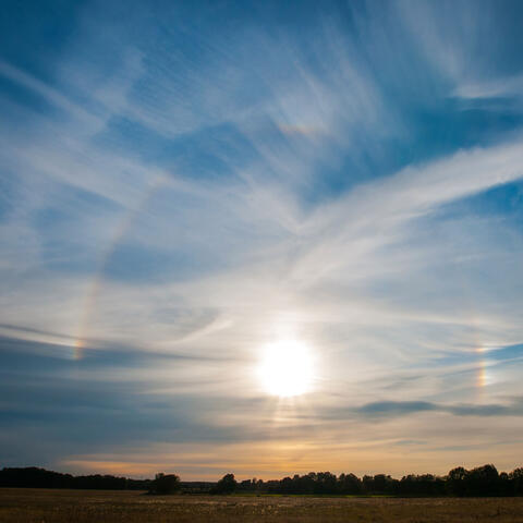 Song of Love and Sensibility