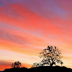 Piano lullaby (owl sound ASMR Ver.) That sounds owl.