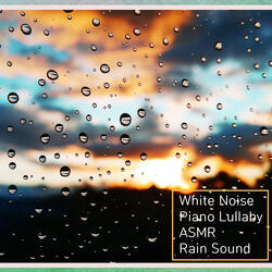 Rainy Forest Sound (White Noise)