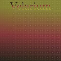 Velarium