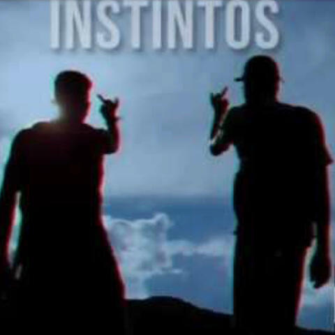 INSTINTOS