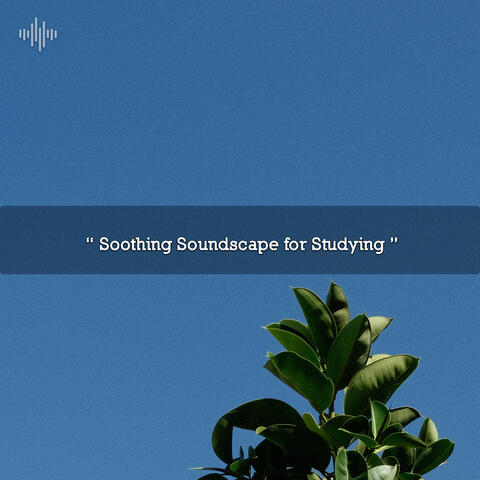 " Soothing Soundscape for Studying "