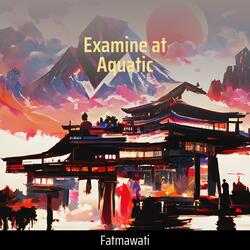 Examine at Aquatic