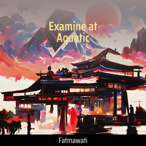 Examine at Aquatic