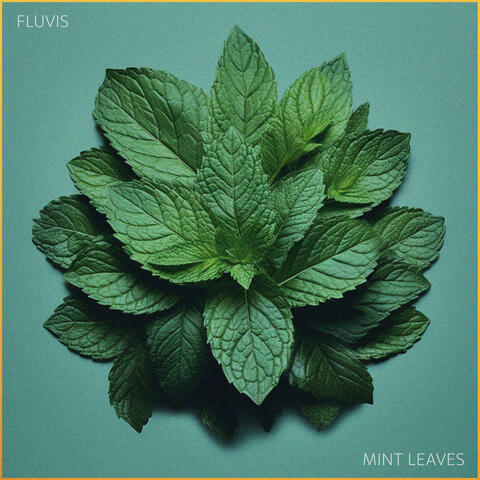 Mint Leaves