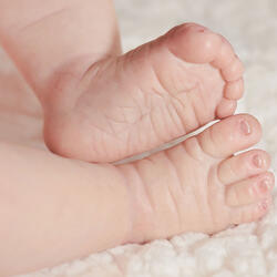 280일간의 엄마뱃속 이야기 (태교 여행)