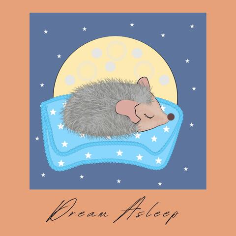 Dream Asleep