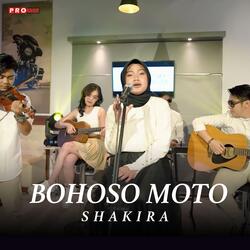 Bohoso Moto