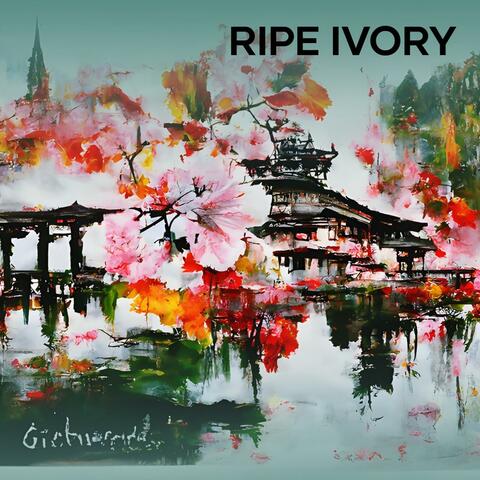 Ripe Ivory