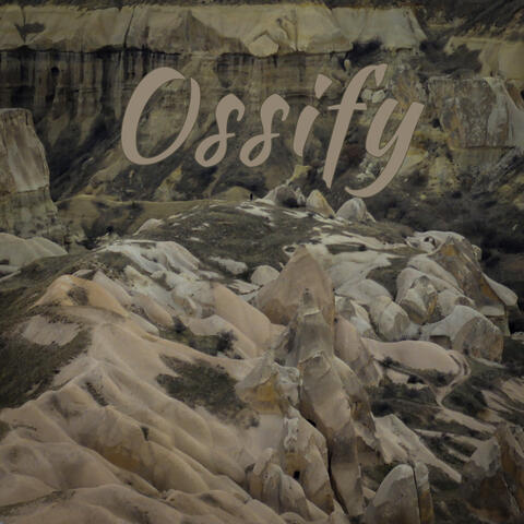 Ossify
