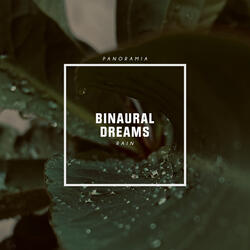 Rain on the Windowsill (Binaural)