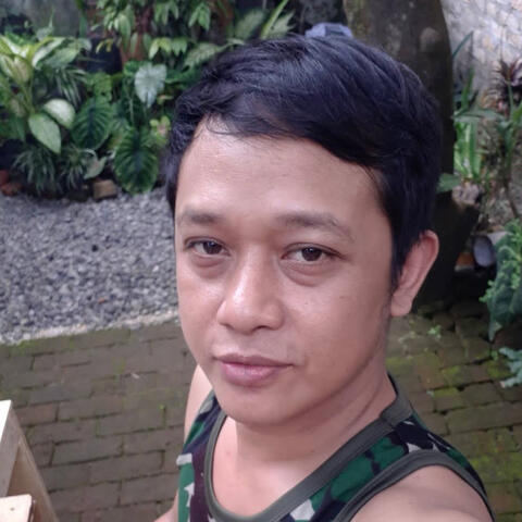 Kembang Mawar Biru