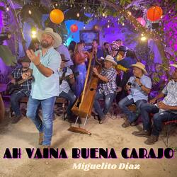 Ah Vaina Buena Carajo