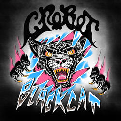 Black Cat