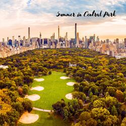 Summer in Central Park