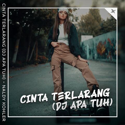 Cinta Terlarang (Dj Apa Tuh)
