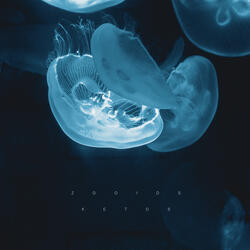The Abyss