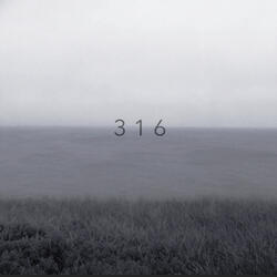 3 1 6