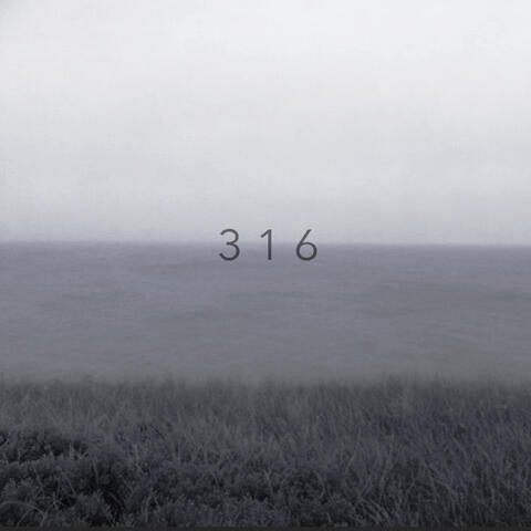 3 1 6