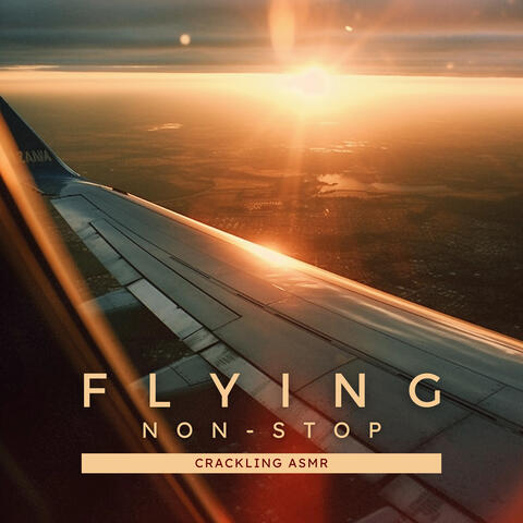 Flying Non-Stop